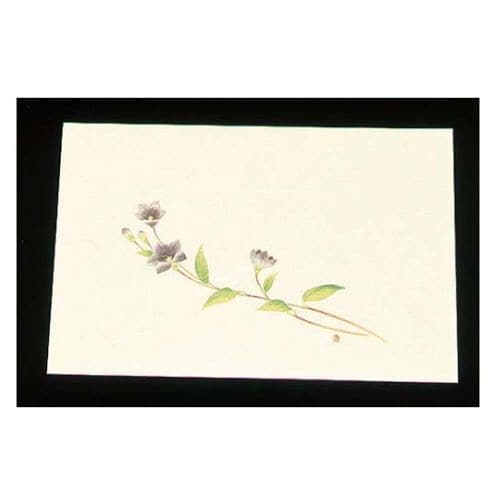 尺三クリーム(100枚入)WSS−13ききょう