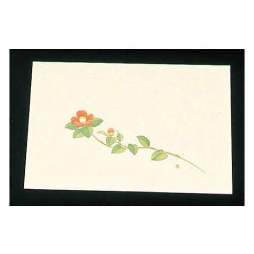 尺三クリーム(100枚入)WSS−16