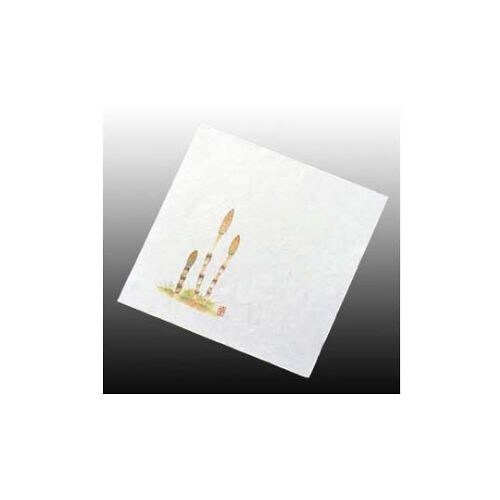 盛彩5寸(100枚入)NS−5