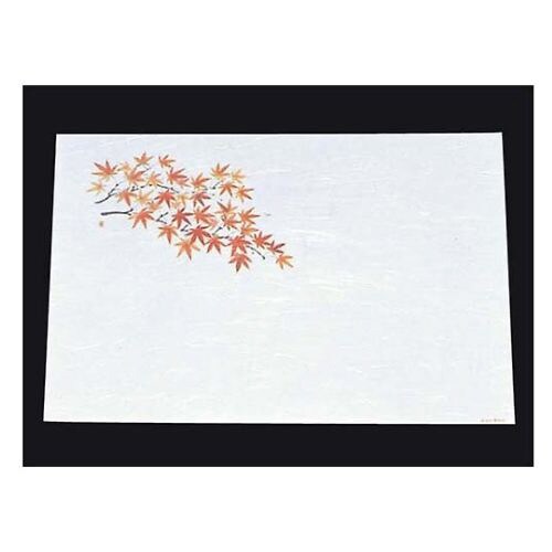 尺三抗菌遠赤和紙(100枚入)WS−13