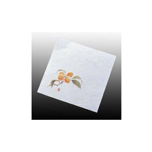 盛彩4寸(100枚入)NS−22