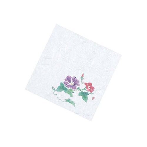 盛彩4寸(100枚入)NS−107