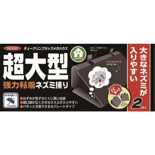 チュークリンブラック メガハウス 2枚