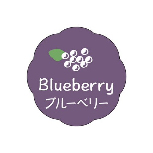 食品表示ラベル シール ブルーベリー