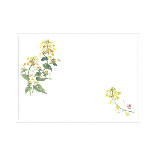 テーブルマット 尺5 菜の花