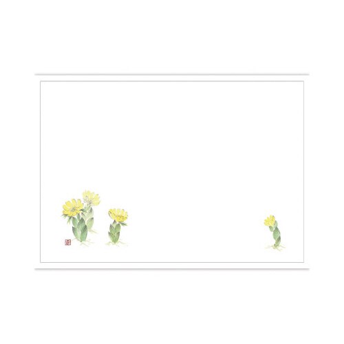 テーブルマット 尺5 福寿草