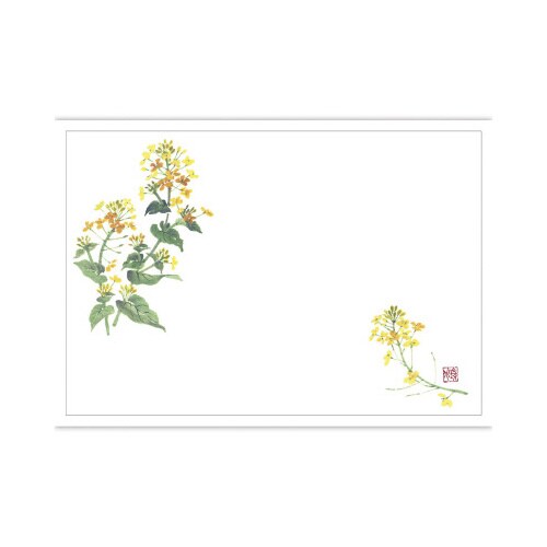 テーブルマット 尺3 菜の花