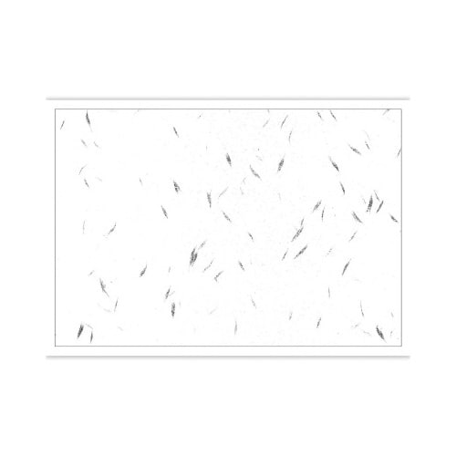 テーブルマット 尺3 自然色昇龍紙