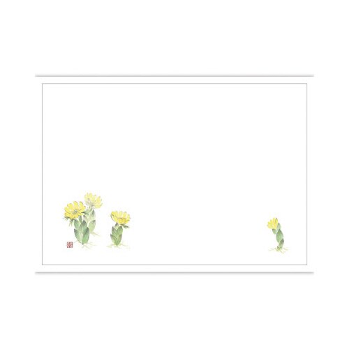 テーブルマット 尺3 福寿草