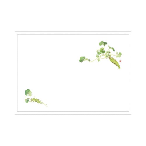 テーブルマット 尺5 わさび