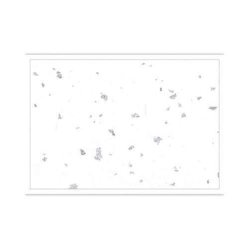 テーブルマット 尺3 銀閣 しろいろ