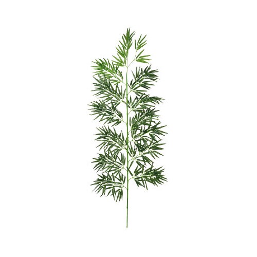 バンブーツリー 2100mm