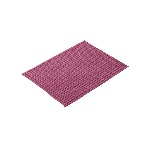 FXマイクロ抗菌クロス 赤 300×400mm