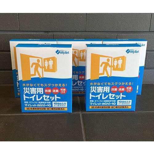 マイレット mini−10 5箱 1304