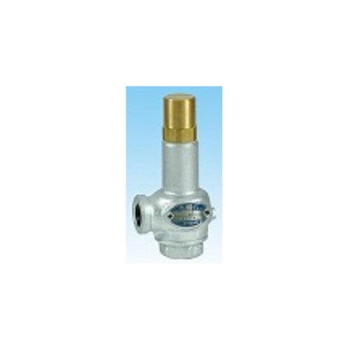 安全弁 AL−17−20AX1.0MPa