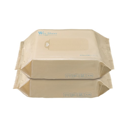 激落ちくん除菌ウェットシート大判タイプ2個入×5