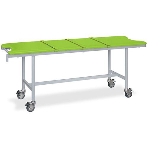 ストレッチャ ベルト付 70×190×85 抹茶