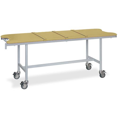 ストレッチャ ベルト付 65×190×75 IV