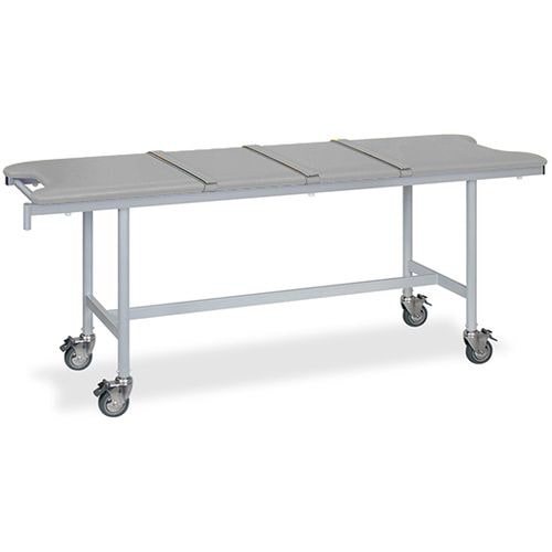 ストレッチャ ベルト付 60×190×75 灰