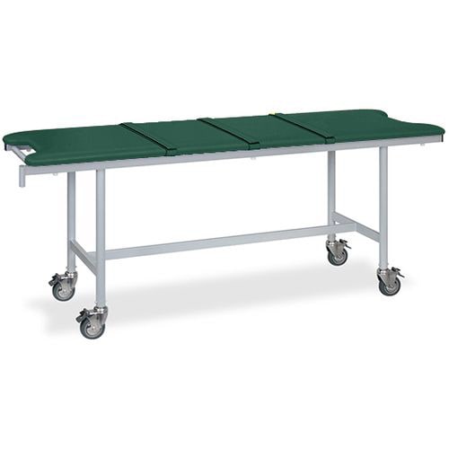 ストレッチャ ベルト付 65×190×80 MG