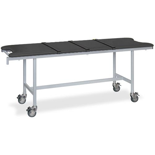 ストレッチャ ベルト付 65×180×70 黒