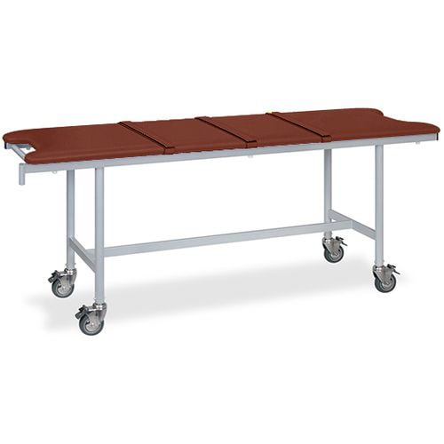 ストレッチャ ベルト付 65×180×75 LR