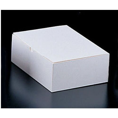 サービスボックス 5号 100枚入 20−153