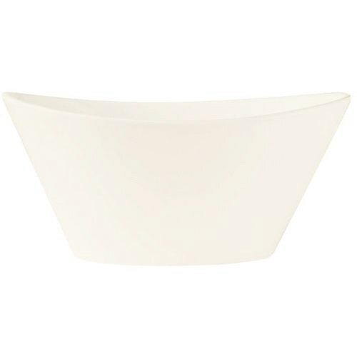 ネプチューンボウル BW−5101