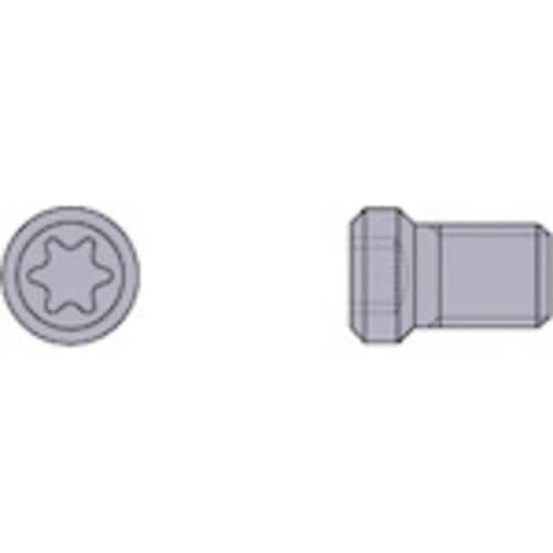 切削工具用部品 クランプねじ CS250T