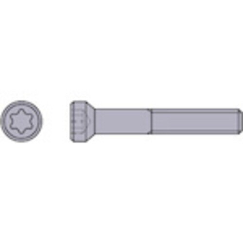 TAW形用部品 クランプねじ WS304518T