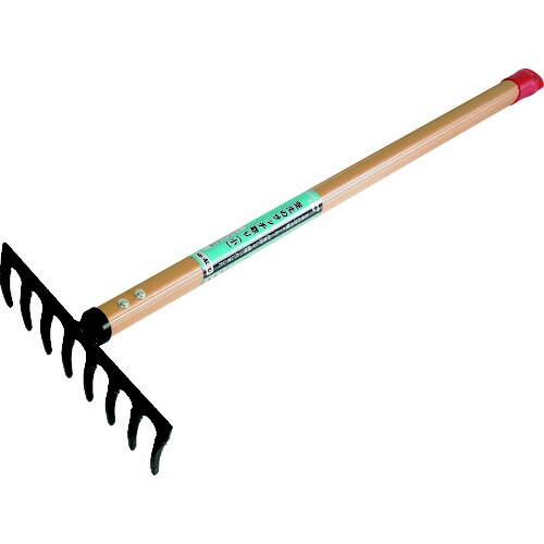 芝生のサッチ取り(小)