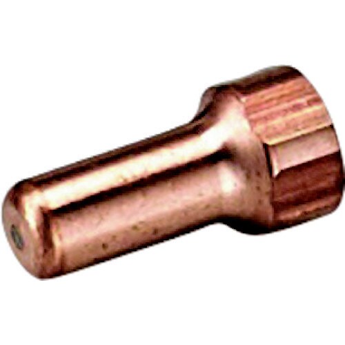 マイト 電極 10個入り