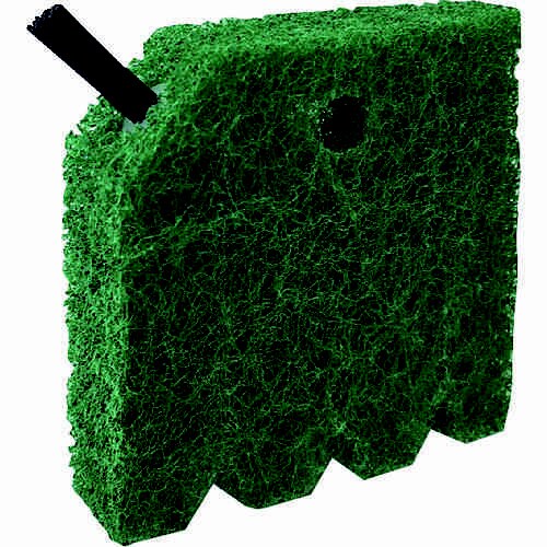 焼きアミたわし