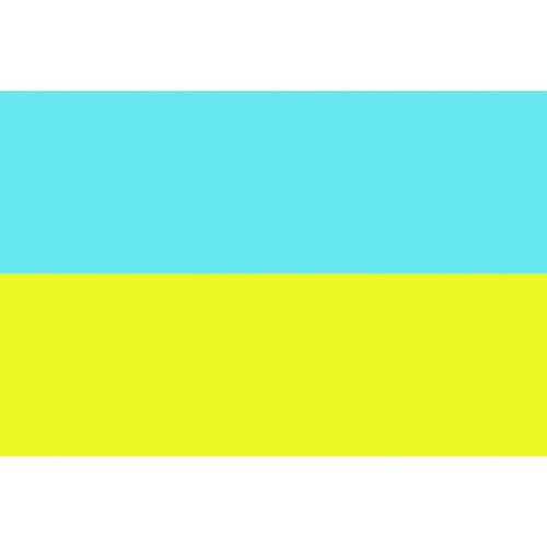 国旗No.2(90×135cm) ウクライナ