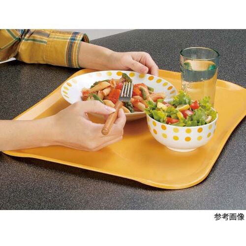 センチュリーカムトレー 1418C 5082100