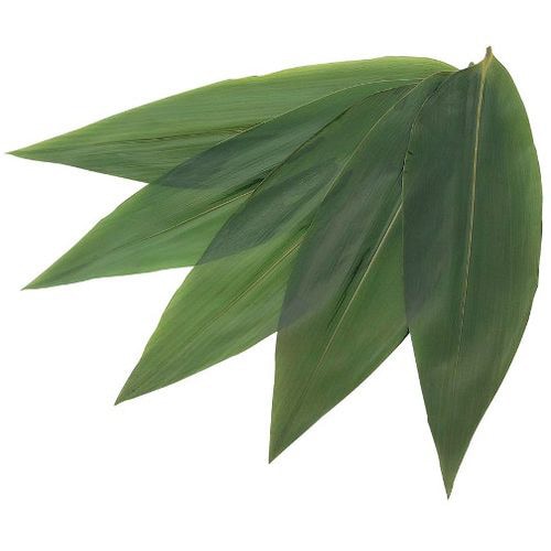 天然笹葉(100枚入)5120 7S