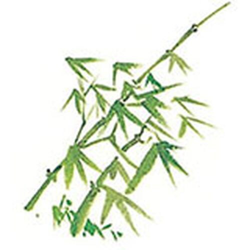 耐油懐敷 15角 竹 1000枚入