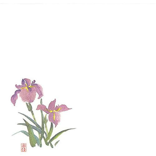 耐油懐敷 18角 あやめ 1000枚入