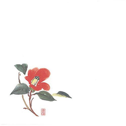 耐油懐敷 18角 椿 1000枚入