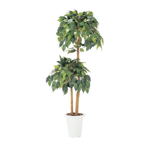 人工樹木 FGN−BJ(ベンジャミン)