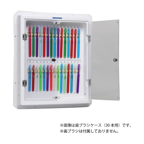 歯ブラシケース(スタンダード)50本用