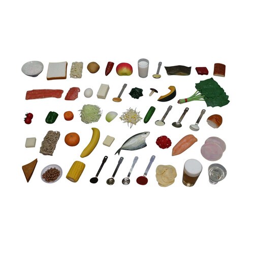 糖尿病指導キット(1から50品セット)磁石付き