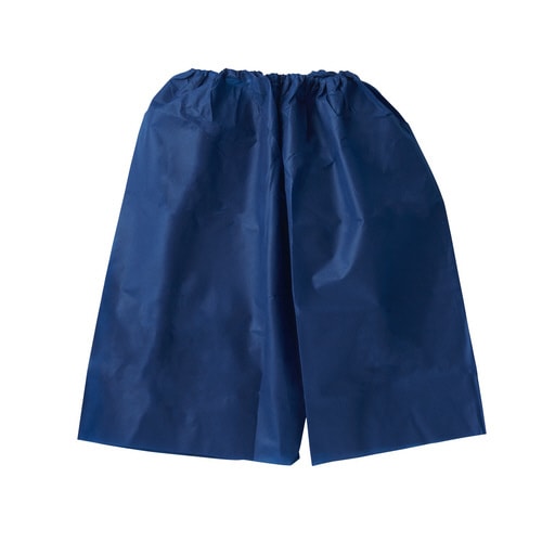 検査用パンツ(スモールパック)ラージ 10枚