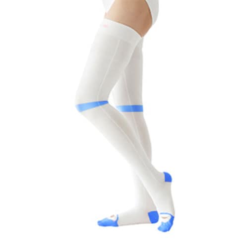 アンシルク・プロJキープケア(10足20332(L