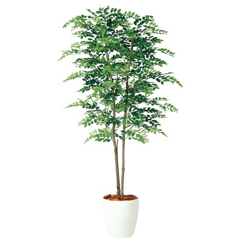 アカシアデュアル(人工樹木)180cm