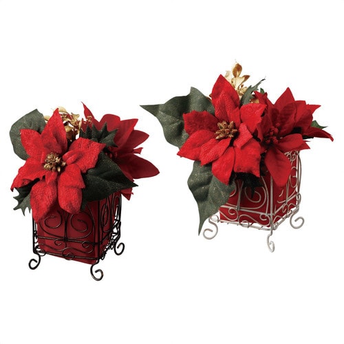 クリスマスポインセチア キューブポット