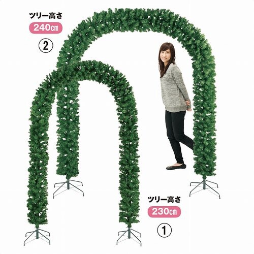 アーチツリー 大