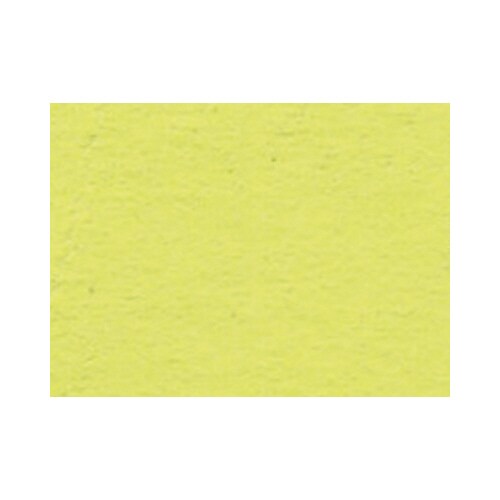 ニューカラー4切 10枚 2004 FL