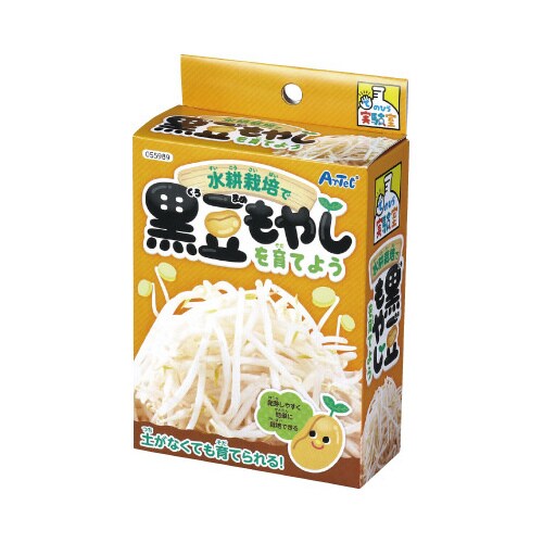 水耕栽培で育てる黒豆もやし