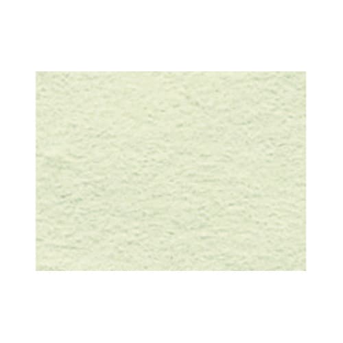 ニューカラー 8切100枚 133 メロン